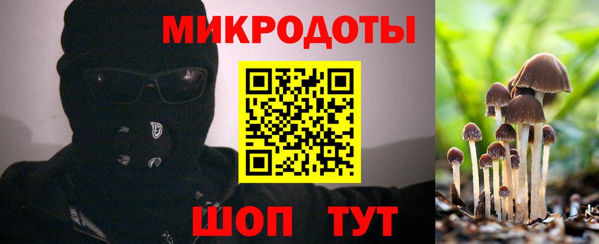 цены наркотик  Вход с VPN  Вышний Волочёк  Галлюциногенные грибы GOLDEN TEACHER 